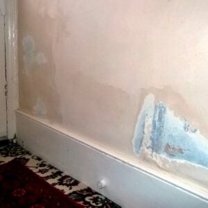 RISING DAMP